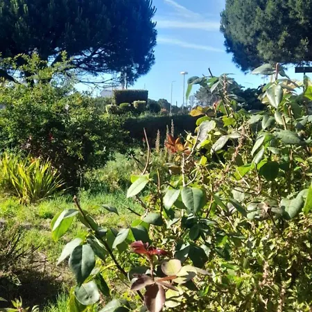 Cantinho Da Mariana * Moledo (Viana do Castelo)