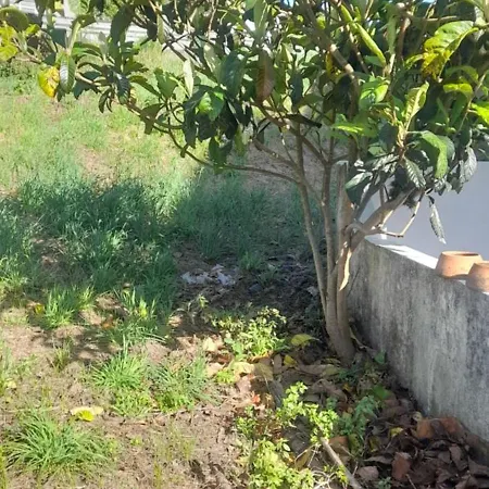Appartement Cantinho Da Mariana