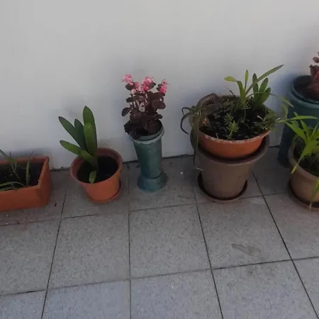 Cantinho Da Mariana Appartement *